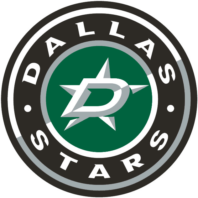 Dallas Stars 2013-Pres Alternate Logo DIY iron on transfer (heat transfer)